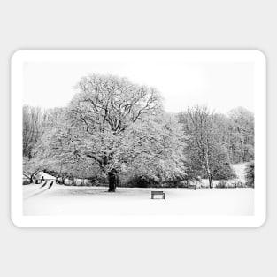 Winter tree Sticker